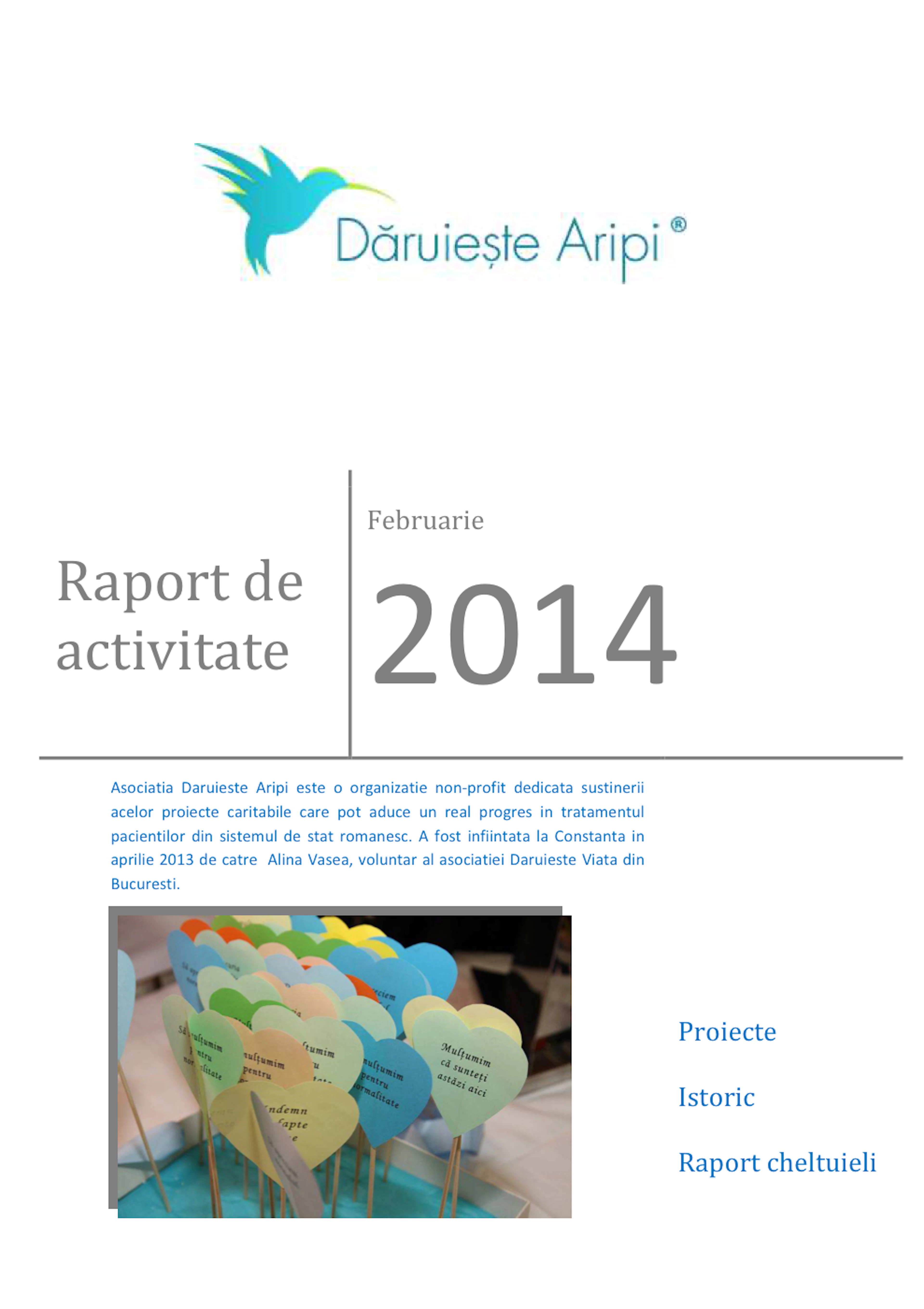Prima pagină a raportului de activitate Februarie 2014 al Asociației Dăruiește Aripi