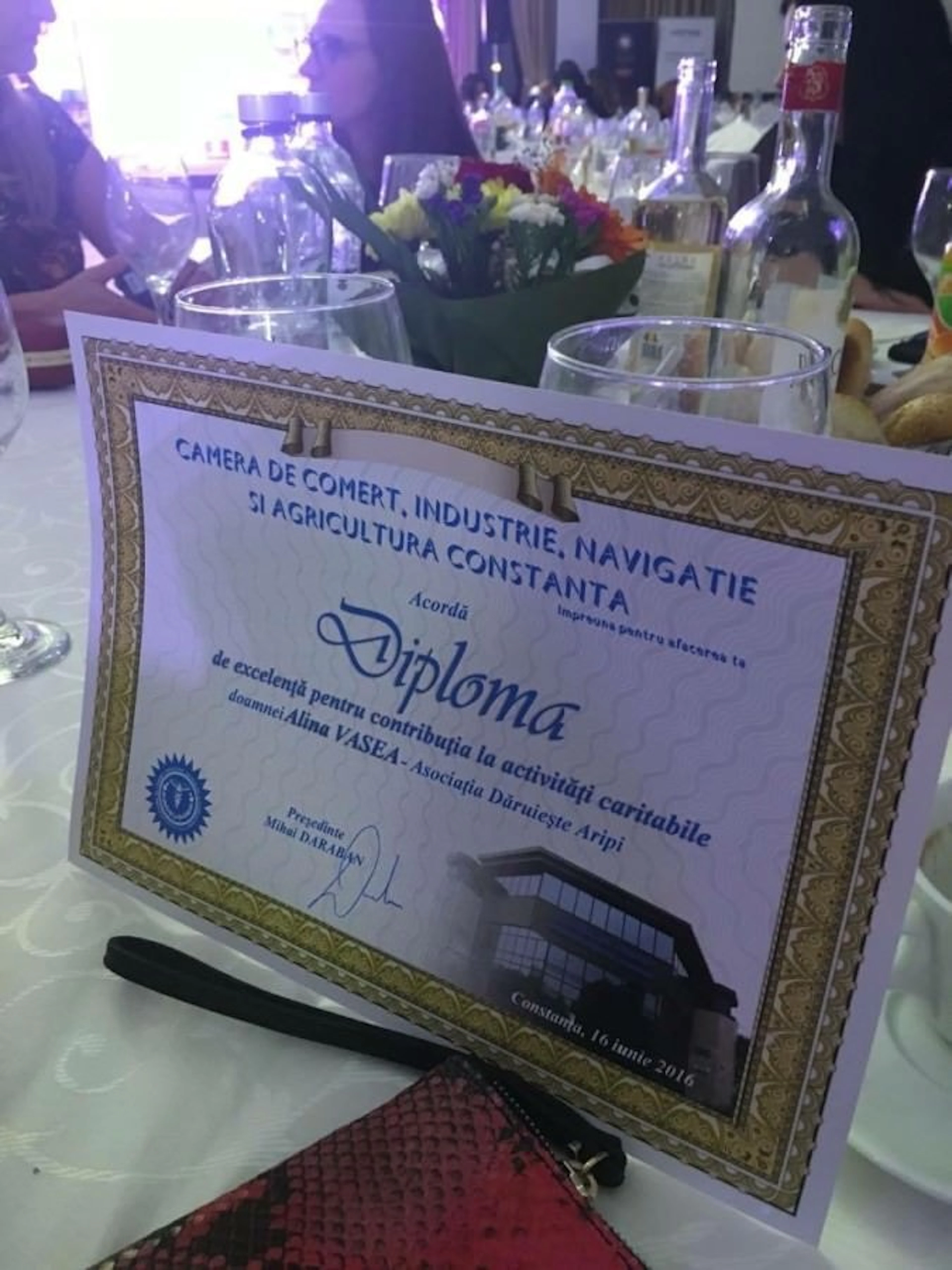 CCINA Constanta premiaza Daruieste Aripi