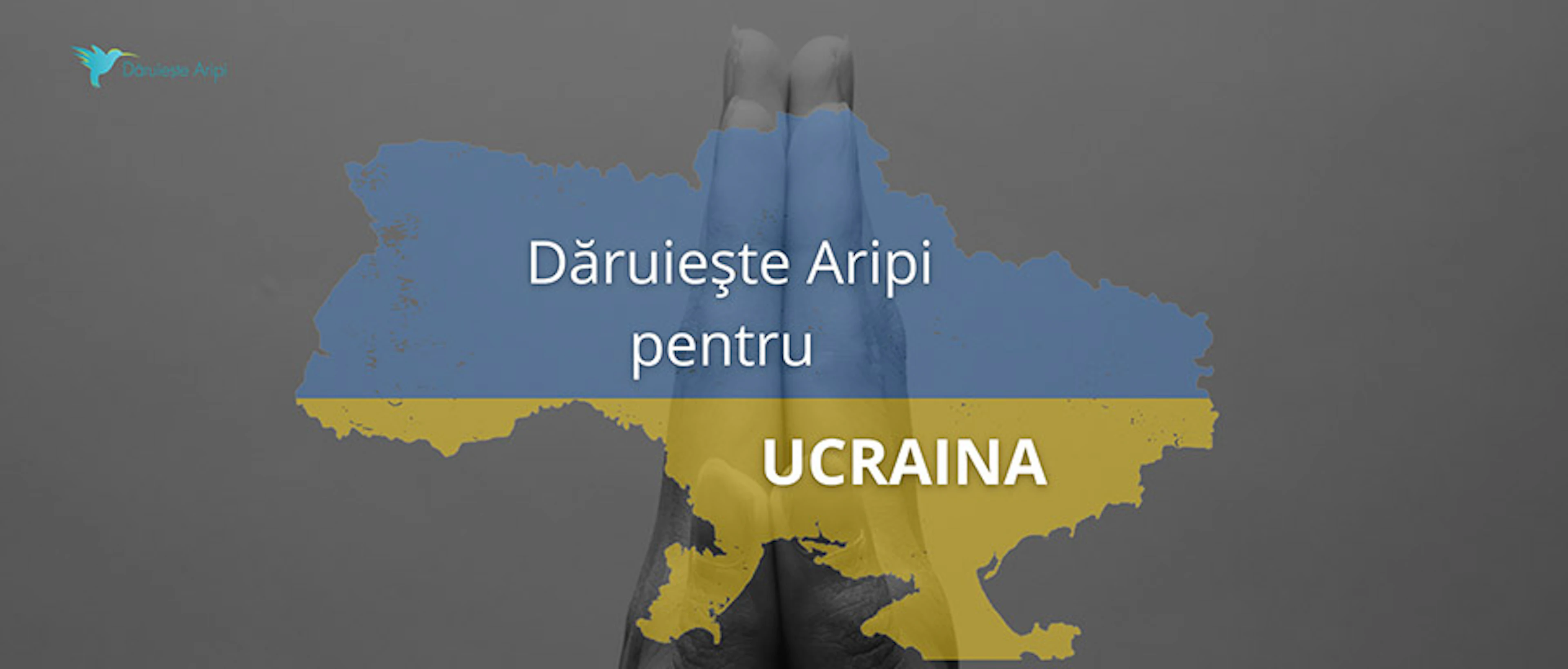 Crearea unui serviciu national de preluare si repartizare a copiilor cu cancer din Ucraina