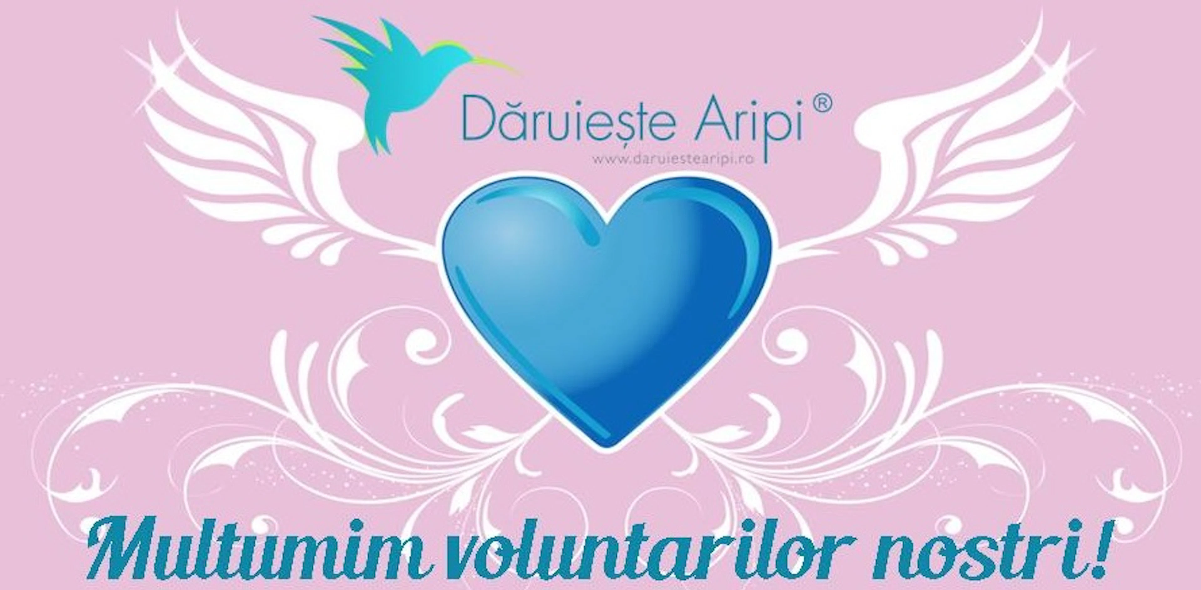 Ziua in care aplaudam voluntarii