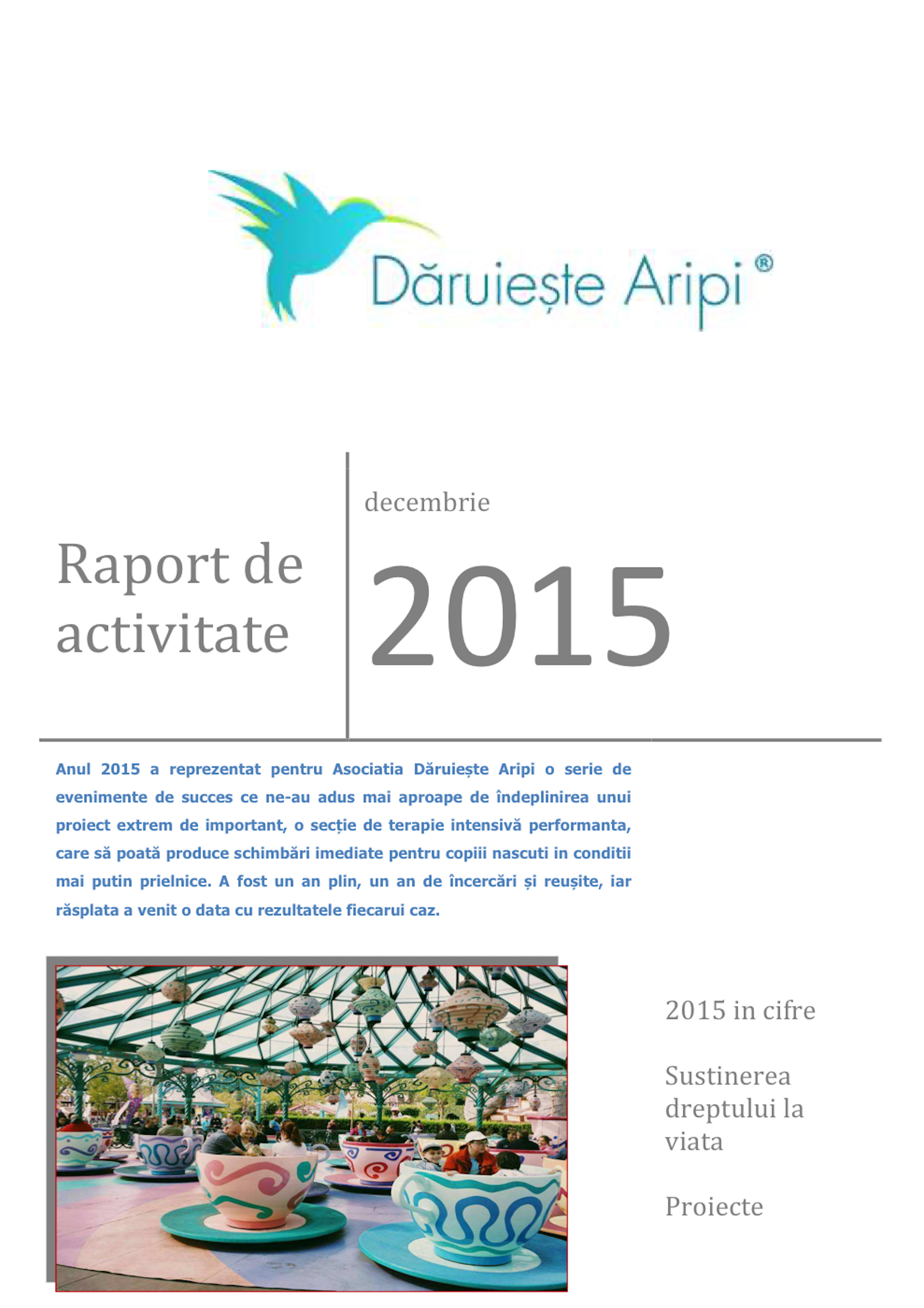 Prima pagină a raportului de activitate Decembrie 2015 al Asociației Dăruiește Aripi