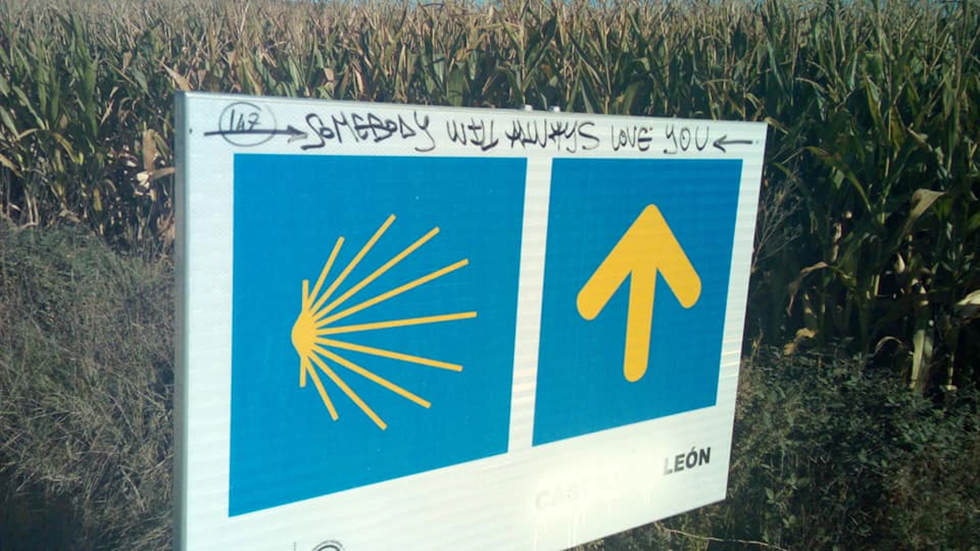 Raluca merge pe Camino pentru copiii bolnavi de cancer din Dobrogea