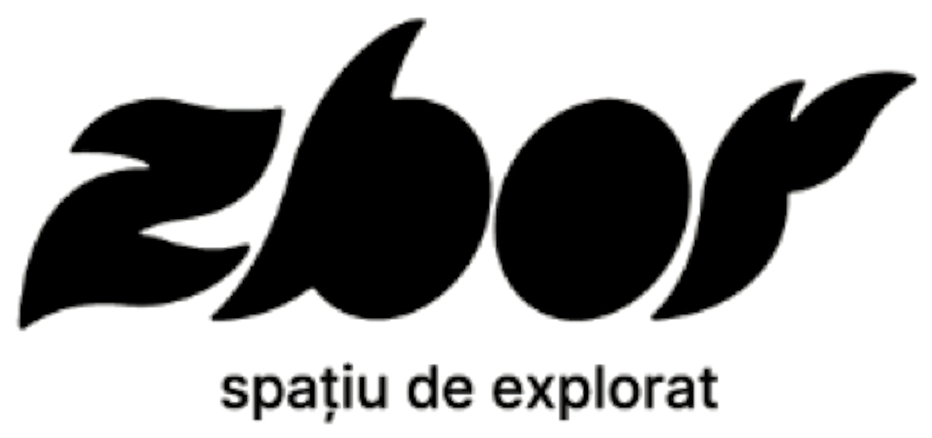 Zbor – spațiu de explorat